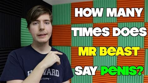 mr beast dick